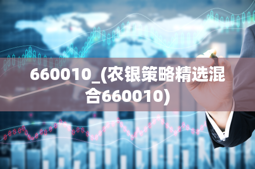 660010_(农银策略精选混合660010)